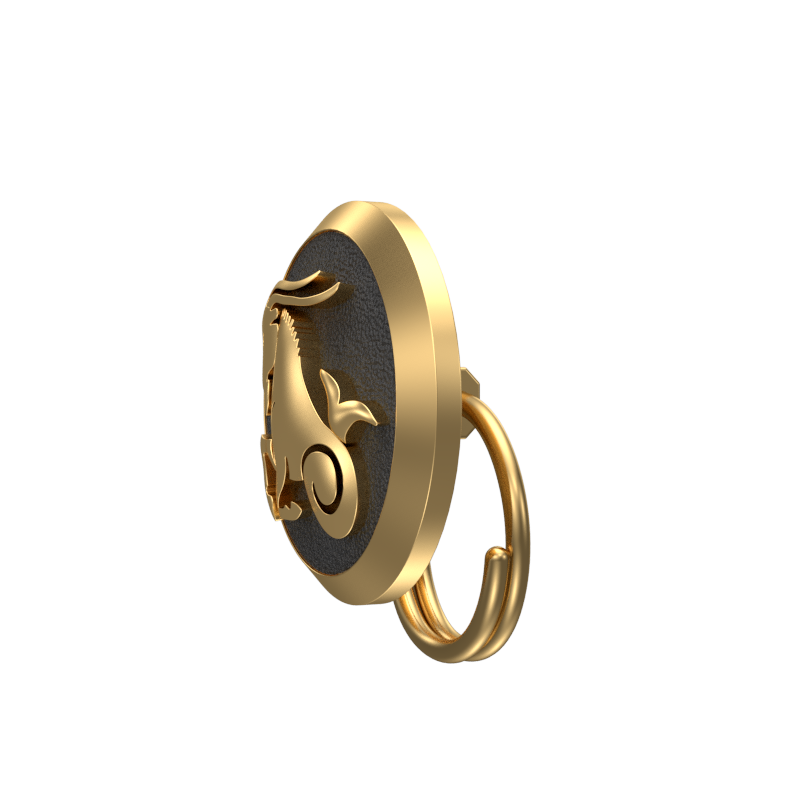 Capricorn Zodiac, Constellation Button set with 18kt Gold Plating & Enamel on Brass.