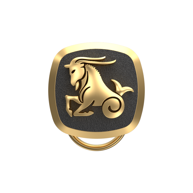 Capricorn Zodiac, Constellation Button set with 18kt Gold Plating & Enamel on Brass.