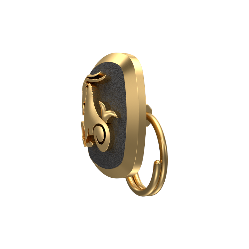 Capricorn Zodiac, Constellation Button set with 18kt Gold Plating & Enamel on Brass.
