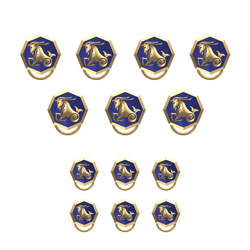 Capricorn Zodiac, Constellation Button set with 18kt Gold Plating & Enamel on Brass.