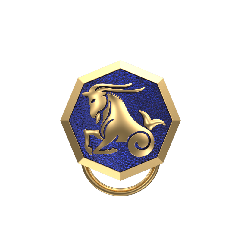 Capricorn Zodiac, Constellation Button set with 18kt Gold Plating & Enamel on Brass.