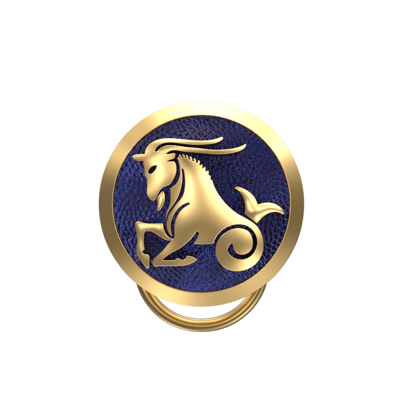 Capricorn Zodiac, Constellation Button set with 18kt Gold Plating & Enamel on Brass.