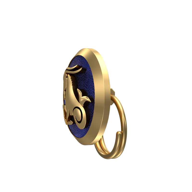 Capricorn Zodiac, Constellation Button set with 18kt Gold Plating & Enamel on Brass.