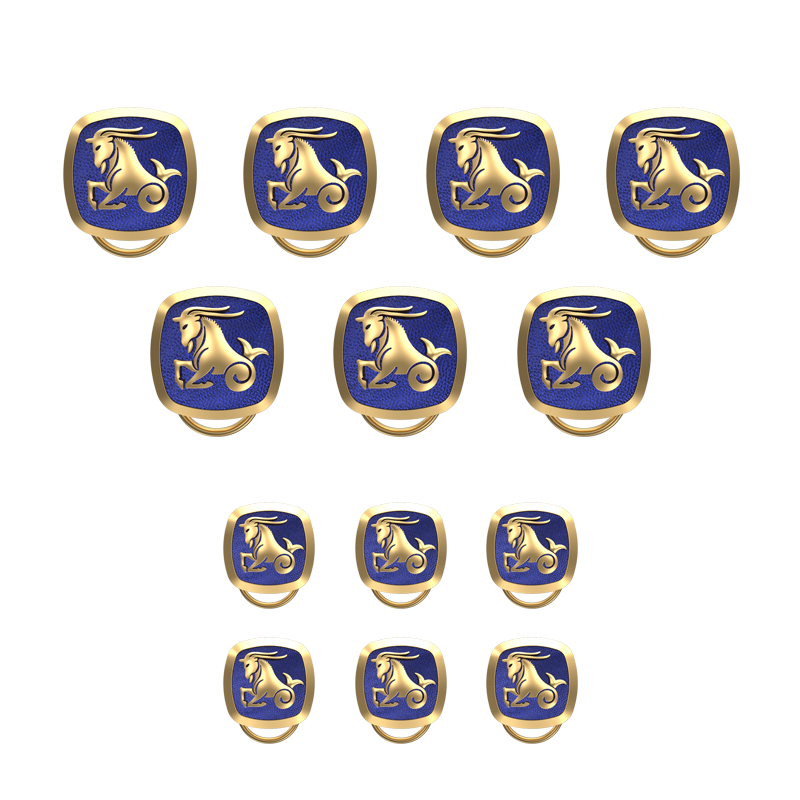 Capricorn Zodiac, Constellation Button set with 18kt Gold Plating & Enamel on Brass.