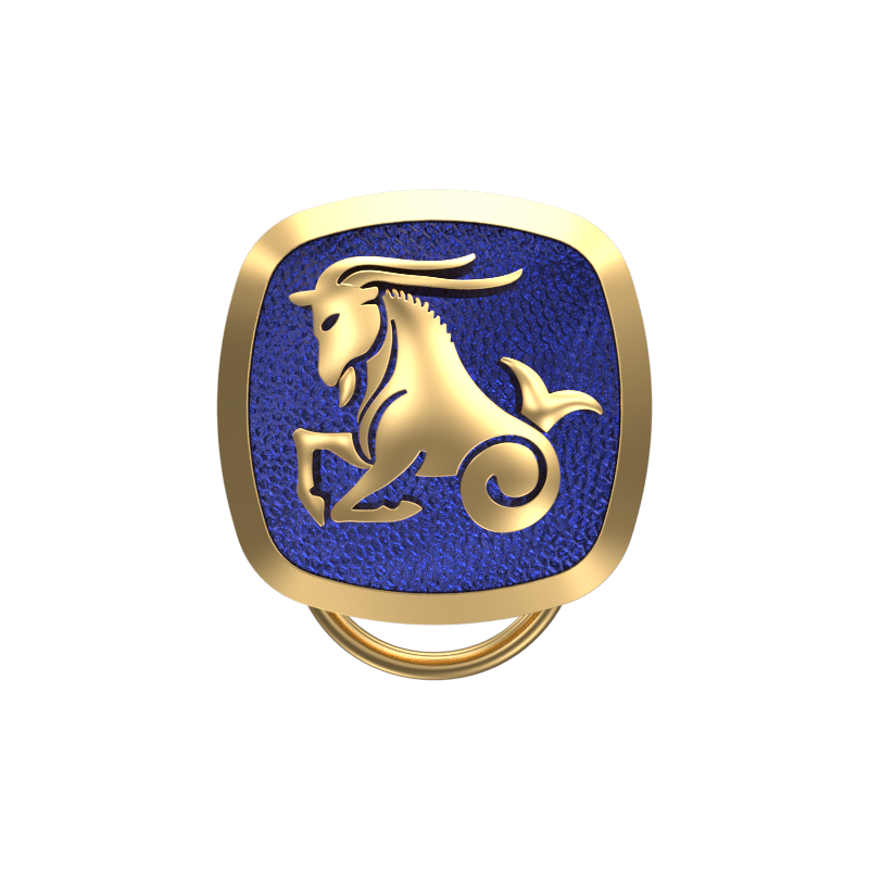 Capricorn Zodiac, Constellation Button set with 18kt Gold Plating & Enamel on Brass.