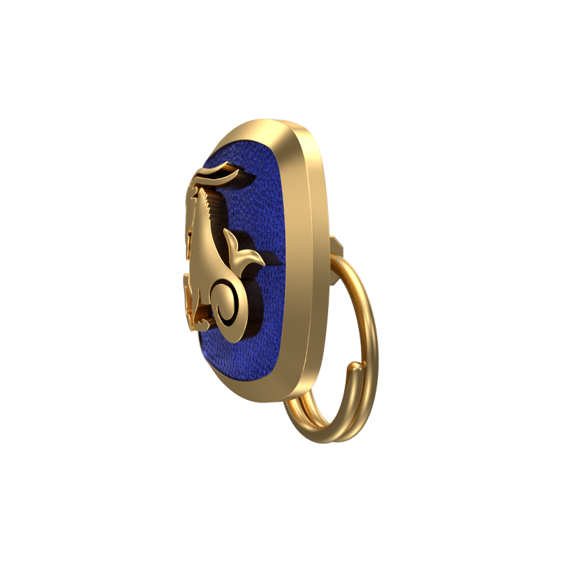 Capricorn Zodiac, Constellation Button set with 18kt Gold Plating & Enamel on Brass.