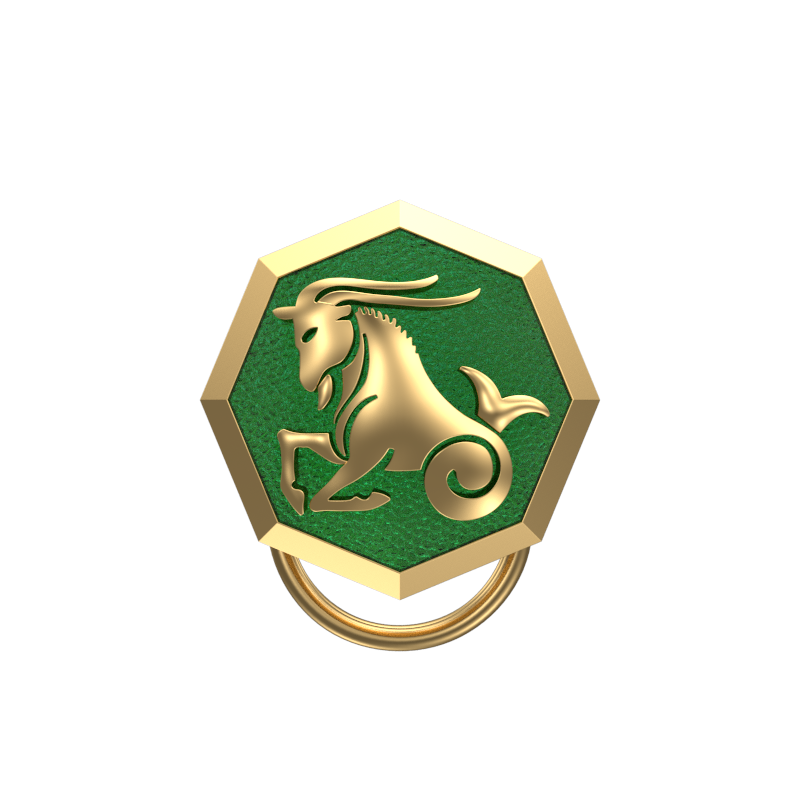 Capricorn Zodiac, Constellation Button set with 18kt Gold Plating & Enamel on Brass.