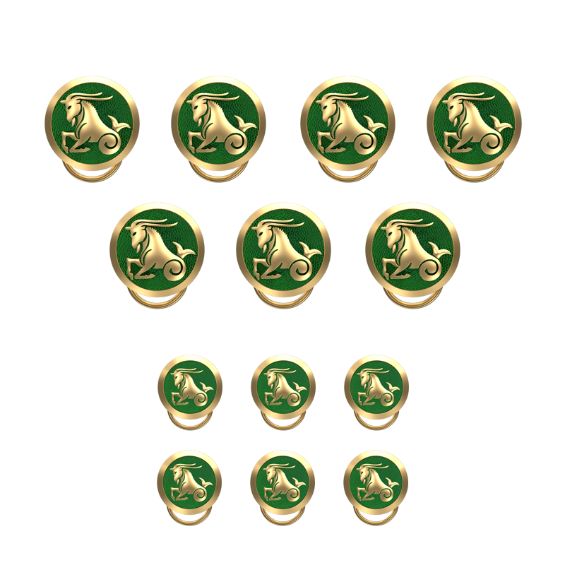 Capricorn Zodiac, Constellation Button set with 18kt Gold Plating & Enamel on Brass.