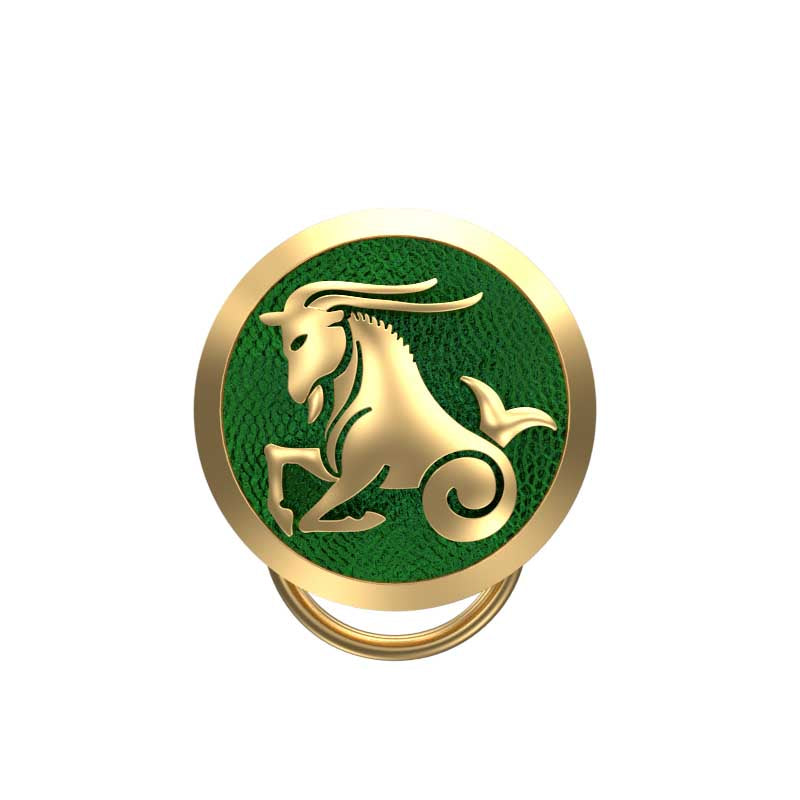 Capricorn Zodiac, Constellation Button set with 18kt Gold Plating & Enamel on Brass.