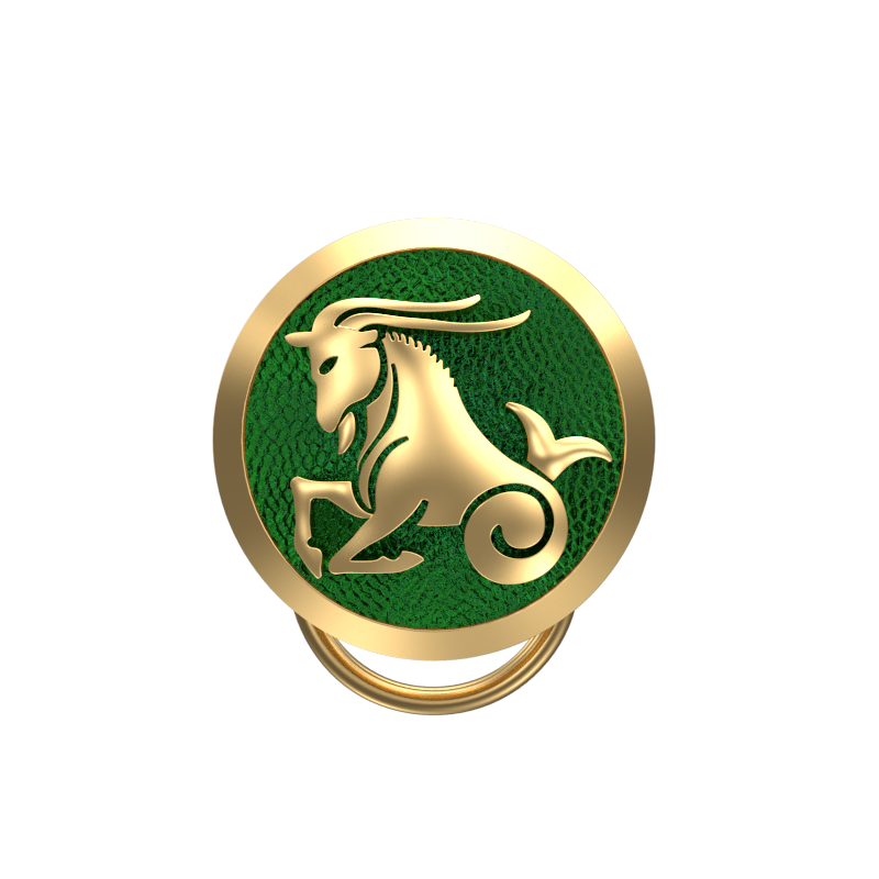 Capricorn Zodiac, Constellation Button set with 18kt Gold Plating & Enamel on Brass.