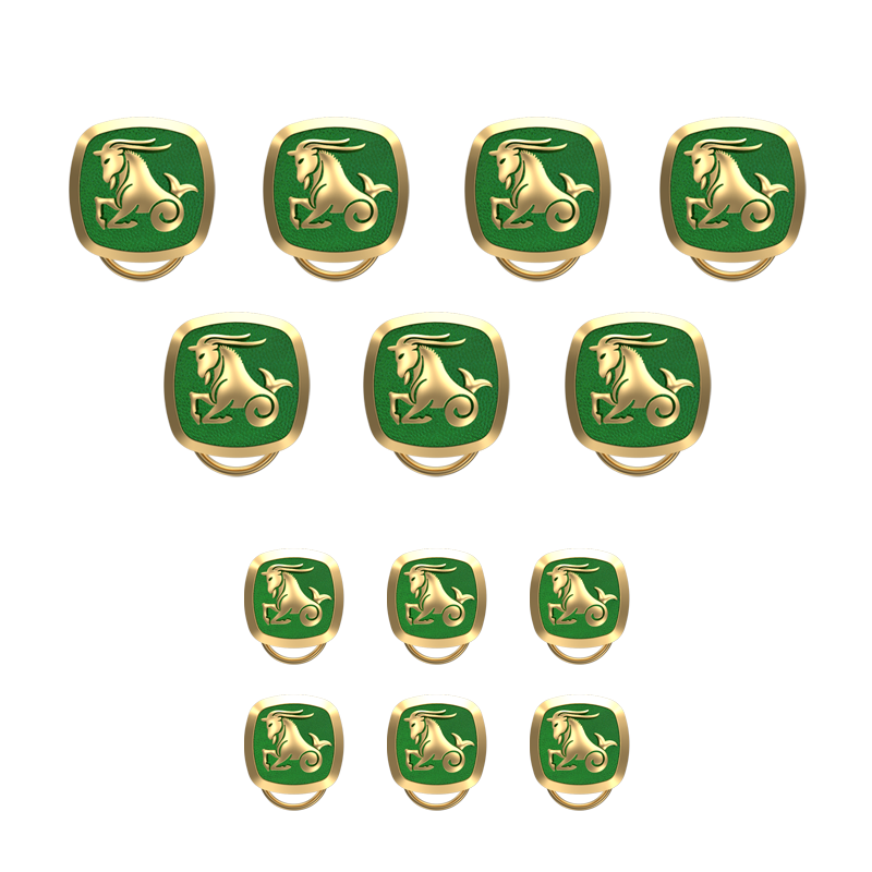 Capricorn Zodiac, Constellation Button set with 18kt Gold Plating & Enamel on Brass.