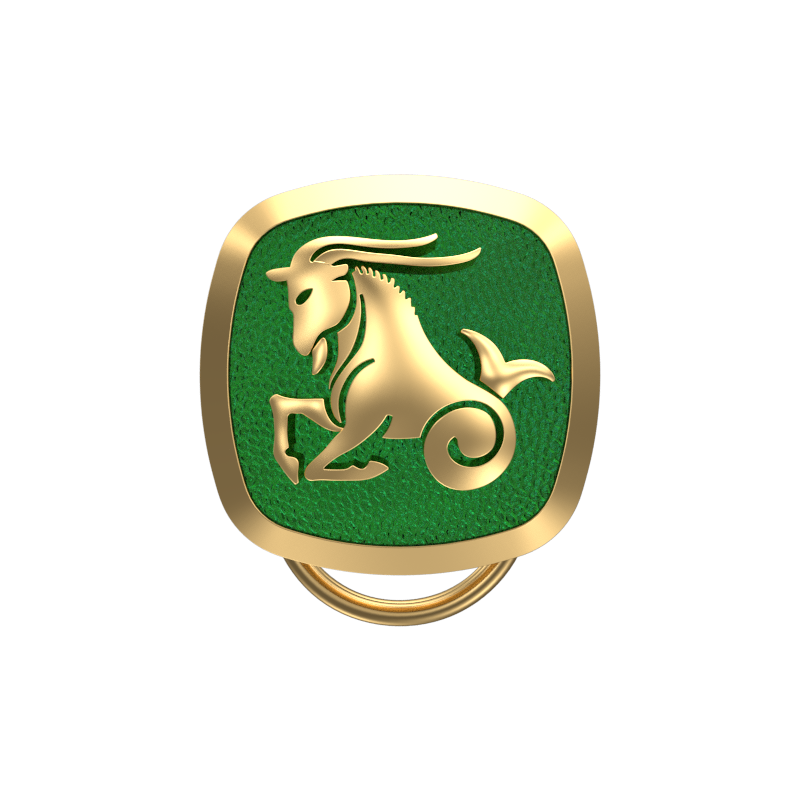 Capricorn Zodiac, Constellation Button set with 18kt Gold Plating & Enamel on Brass.