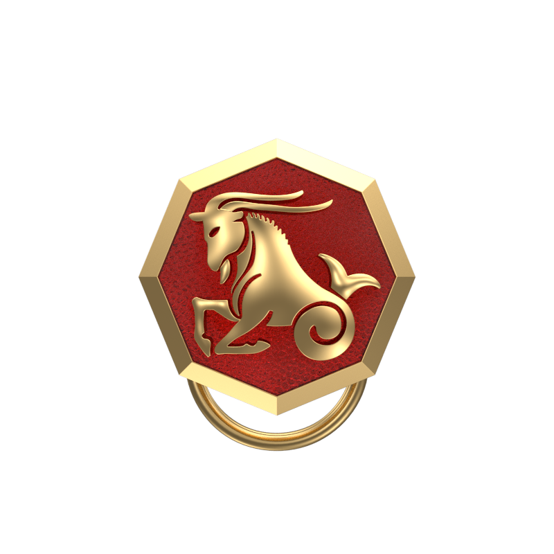 Capricorn Zodiac, Constellation Button set with 18kt Gold Plating & Enamel on Brass.