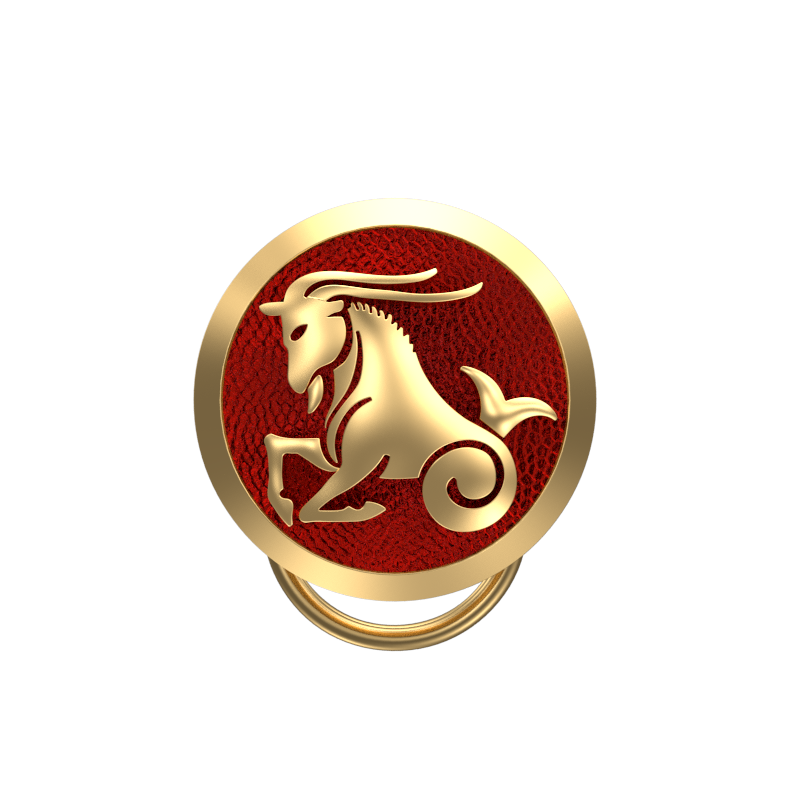 Capricorn Zodiac, Constellation Button set with 18kt Gold Plating & Enamel on Brass.