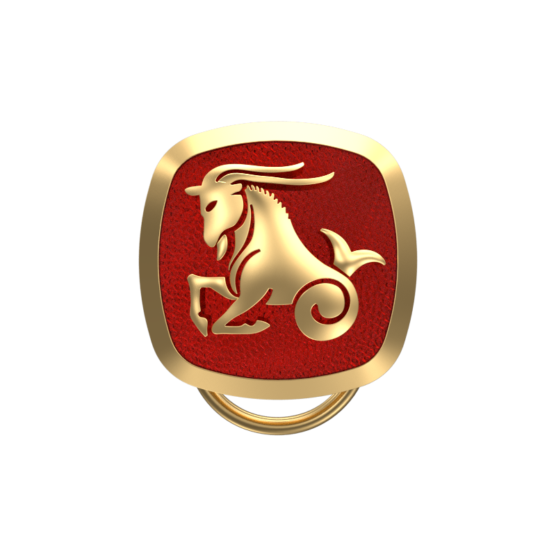 Capricorn Zodiac, Constellation Button set with 18kt Gold Plating & Enamel on Brass.
