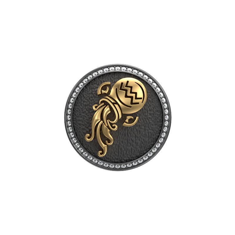 Aquarius Zodiac Luxe, Constellation Cufflink Set with CZ Diamonds, 18kt Gold & Black Ruthenium Plating on Brass.