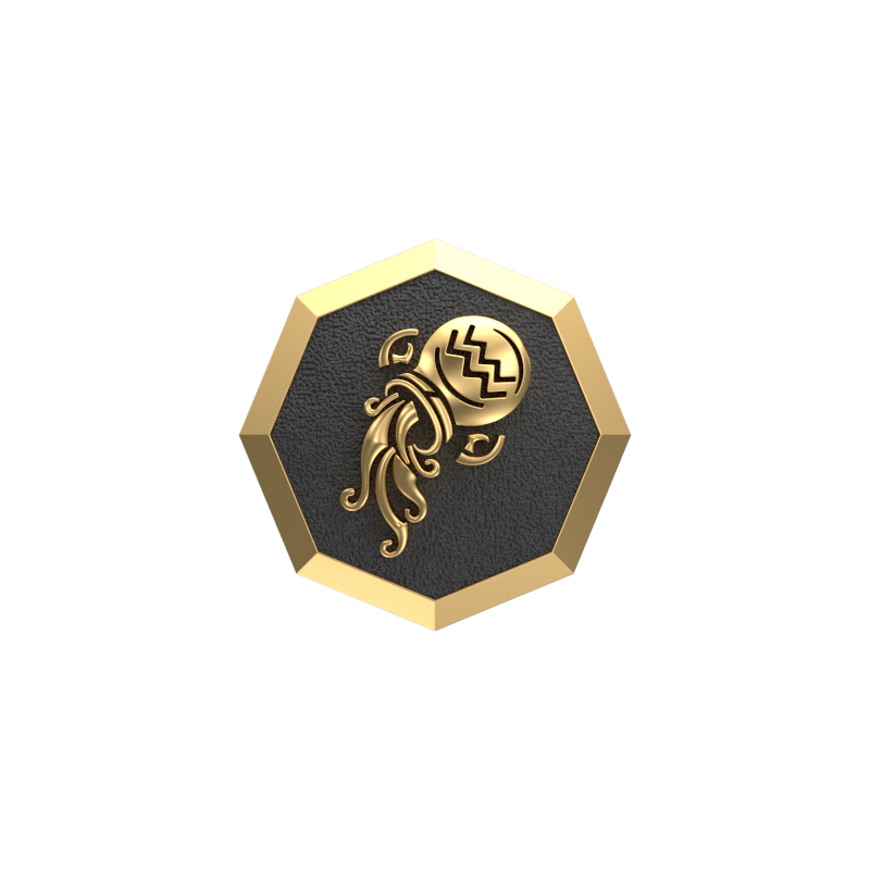 Aquarius Zodiac , Constellation Cufflink Set with 18kt Gold & Black Ruthenium Plating on Brass.