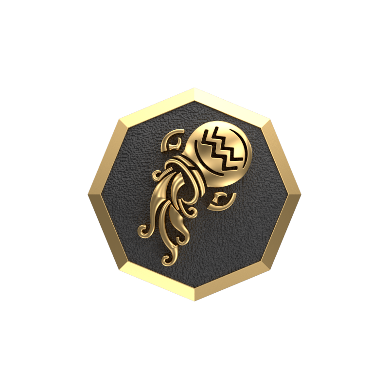 Aquarius Zodiac , Constellation Cufflink Set with 18kt Gold & Black Ruthenium Plating on Brass.