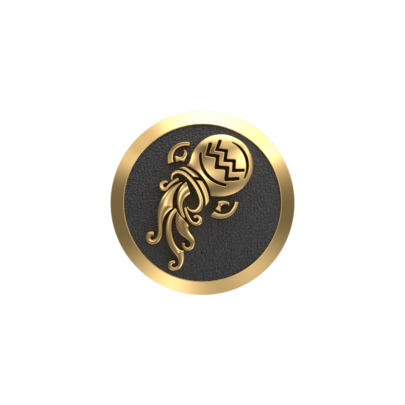 Aquarius Zodiac , Constellation Cufflink Set with 18kt Gold & Black Ruthenium Plating on Brass.