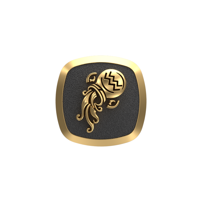 Aquarius Zodiac , Constellation Cufflink Set with 18kt Gold & Black Ruthenium Plating on Brass.