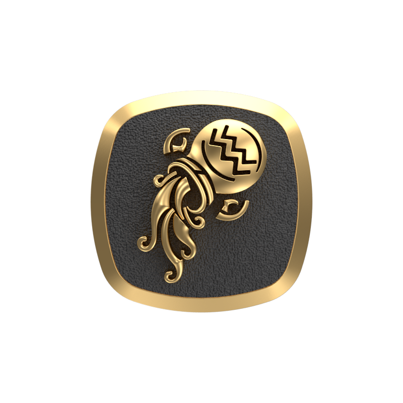 Aquarius Zodiac , Constellation Cufflink Set with 18kt Gold & Black Ruthenium Plating on Brass.