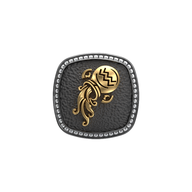 Aquarius Zodiac Luxe, Constellation Cufflink Set with CZ Diamonds, 18kt Gold & Black Ruthenium Plating on Brass.