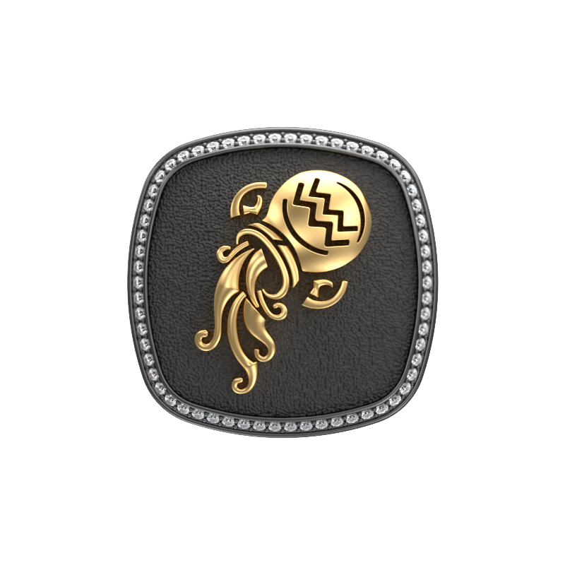 Aquarius Zodiac Luxe, Constellation Cufflink Set with CZ Diamonds, 18kt Gold & Black Ruthenium Plating on Brass.