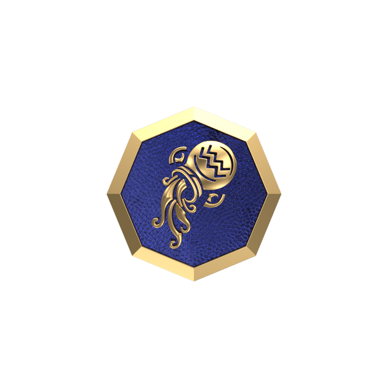 Aquarius Zodiac , Constellation Cufflink Set with 18kt Gold & Black Ruthenium Plating on Brass.
