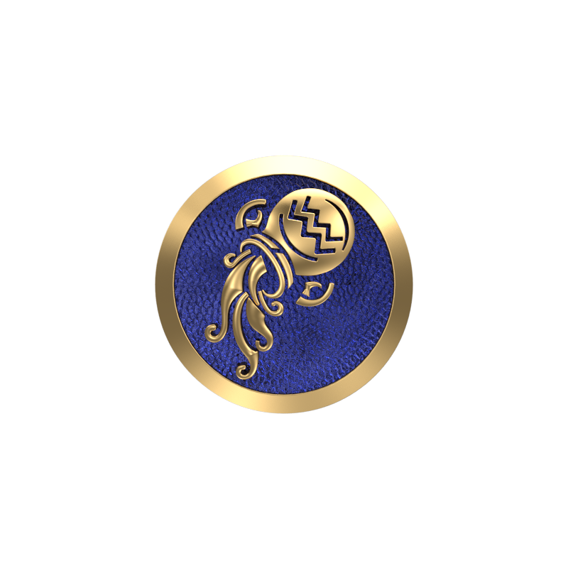 Aquarius Zodiac , Constellation Cufflink Set with 18kt Gold & Black Ruthenium Plating on Brass.