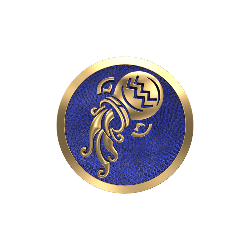 Aquarius Zodiac , Constellation Cufflink Set with 18kt Gold & Black Ruthenium Plating on Brass.
