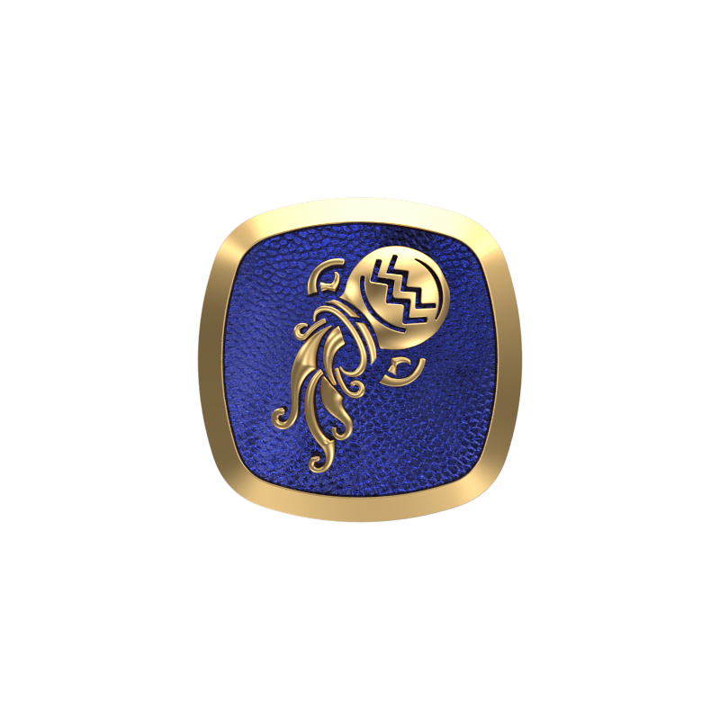 Aquarius Zodiac , Constellation Cufflink Set with 18kt Gold & Black Ruthenium Plating on Brass.