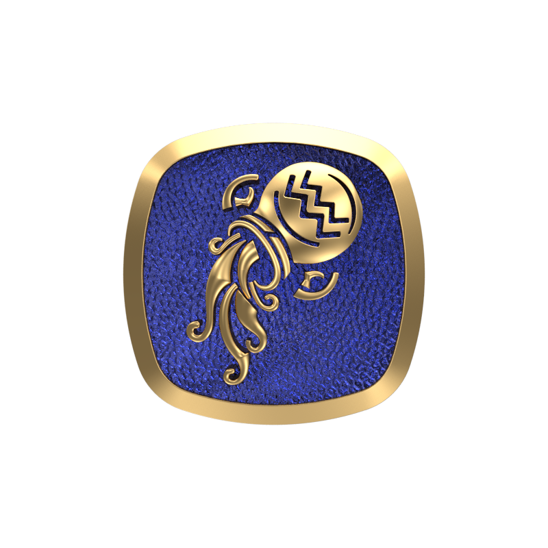 Aquarius Zodiac , Constellation Cufflink Set with 18kt Gold & Black Ruthenium Plating on Brass.