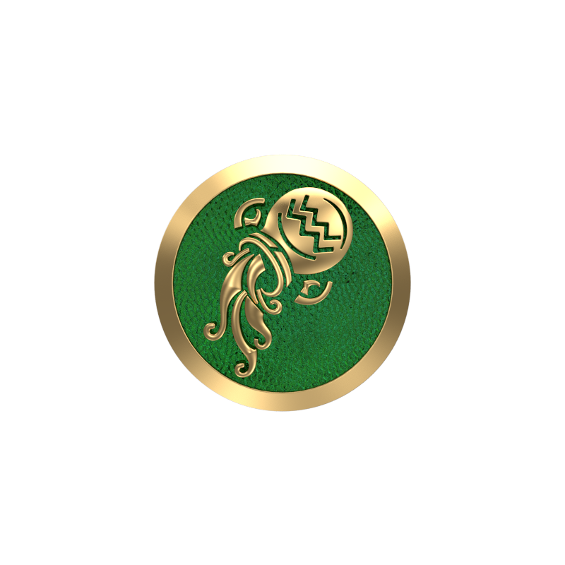 Aquarius Zodiac , Constellation Cufflink Set with 18kt Gold & Black Ruthenium Plating on Brass.