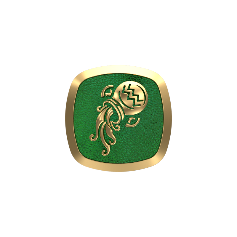 Aquarius Zodiac , Constellation Cufflink Set with 18kt Gold & Black Ruthenium Plating on Brass.