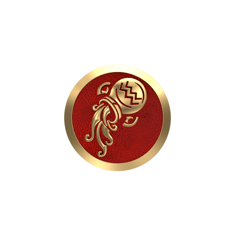 Aquarius Zodiac , Constellation Cufflink Set with 18kt Gold & Black Ruthenium Plating on Brass.