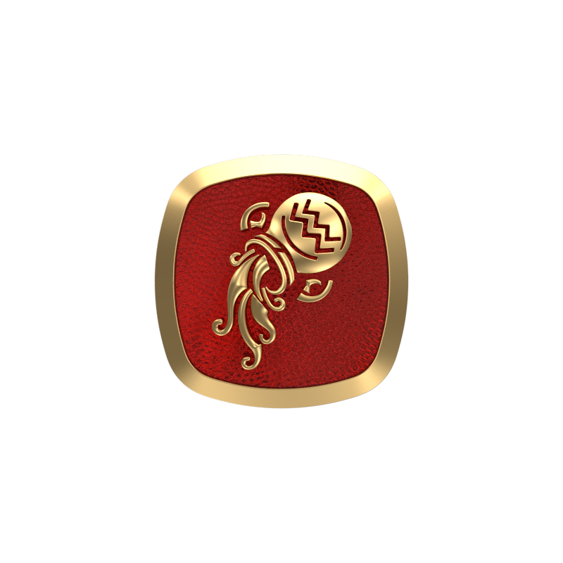 Aquarius Zodiac , Constellation Cufflink Set with 18kt Gold & Black Ruthenium Plating on Brass.