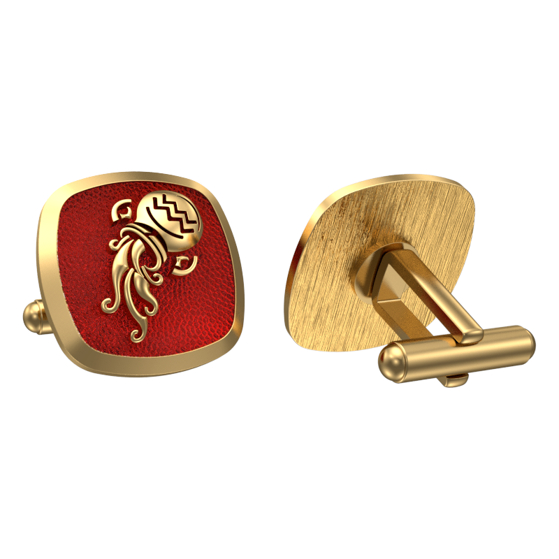 Aquarius Zodiac , Constellation Cufflink Set with 18kt Gold & Black Ruthenium Plating on Brass.