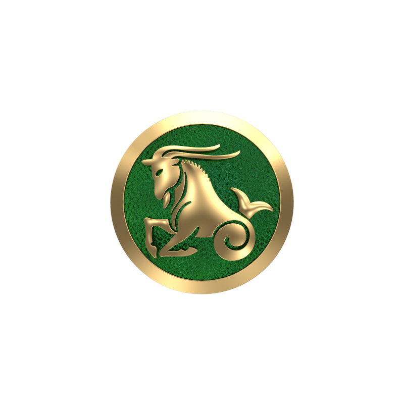 Capricorn Zodiac , Constellation Cufflink Set with 18kt Gold & Black Ruthenium Plating on Brass.