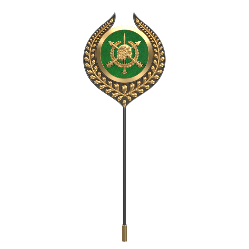 Pirate ,Leaf Edgy Lapel with 18kt Gold & Black Ruthenium Plating and Enamel on Brass.