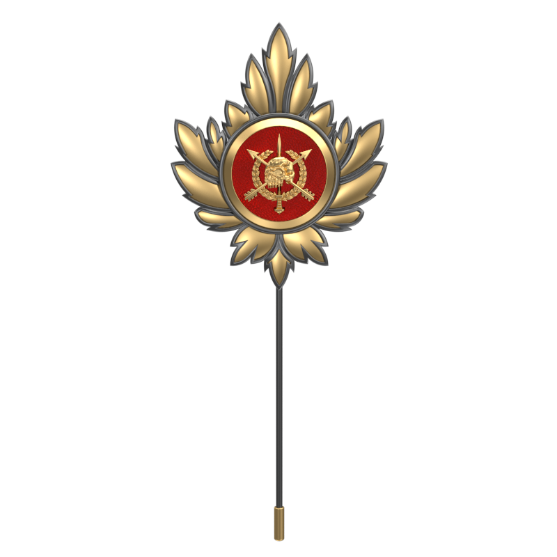 Pirate ,Mapel Edgy Lapel with 18kt Gold & Black Ruthenium Plating and Enamel on Brass.