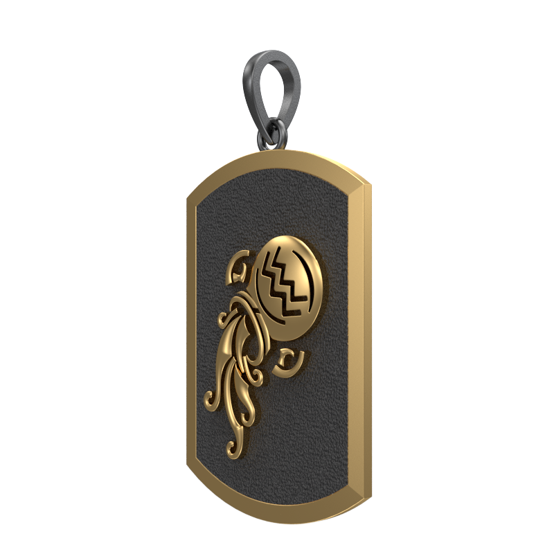 Aquarius Zodiac, Constellation Pendant with 18kt Gold & Black Ruthenium Plating on Brass.