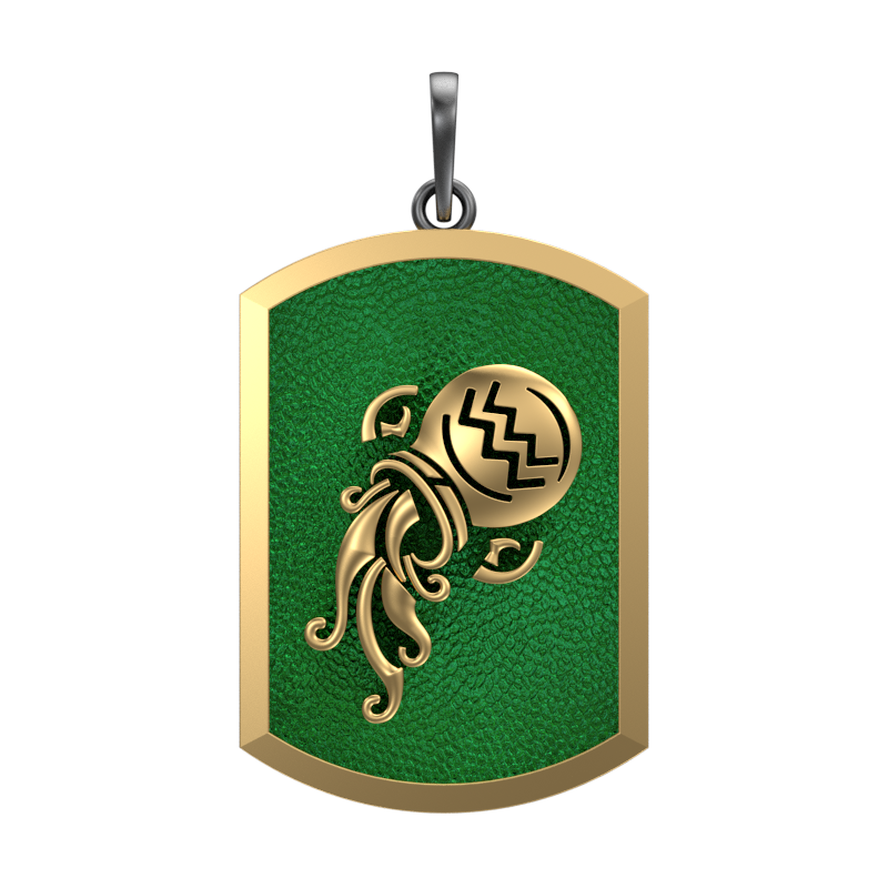 Aquarius Zodiac, Constellation Pendant with 18kt Gold & Black Ruthenium Plating on Brass.