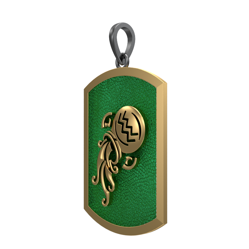 Aquarius Zodiac, Constellation Pendant with 18kt Gold & Black Ruthenium Plating on Brass.