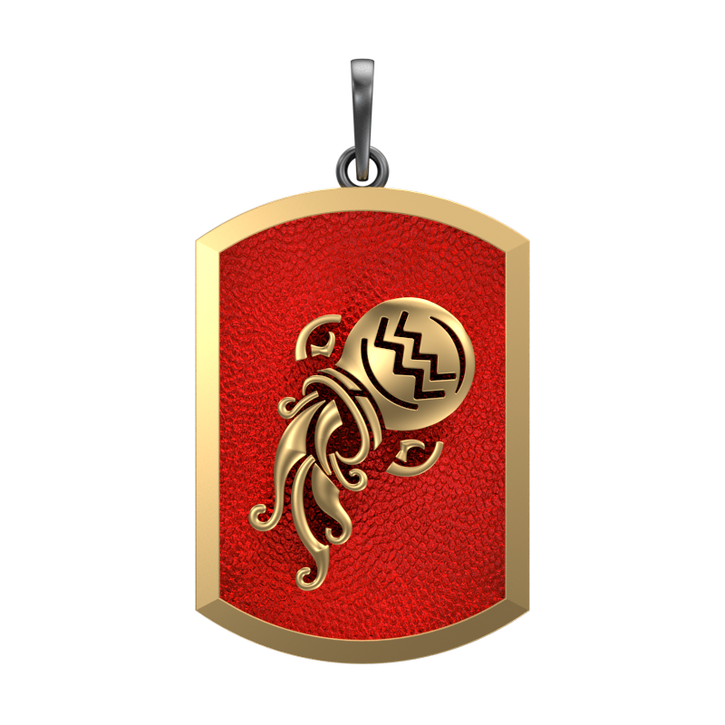 Aquarius Zodiac, Constellation Pendant with 18kt Gold & Black Ruthenium Plating on Brass.
