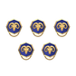 Aries Zodiac, Constellation Button set with 18kt Gold & Black Ruthenium Plating on Brass.