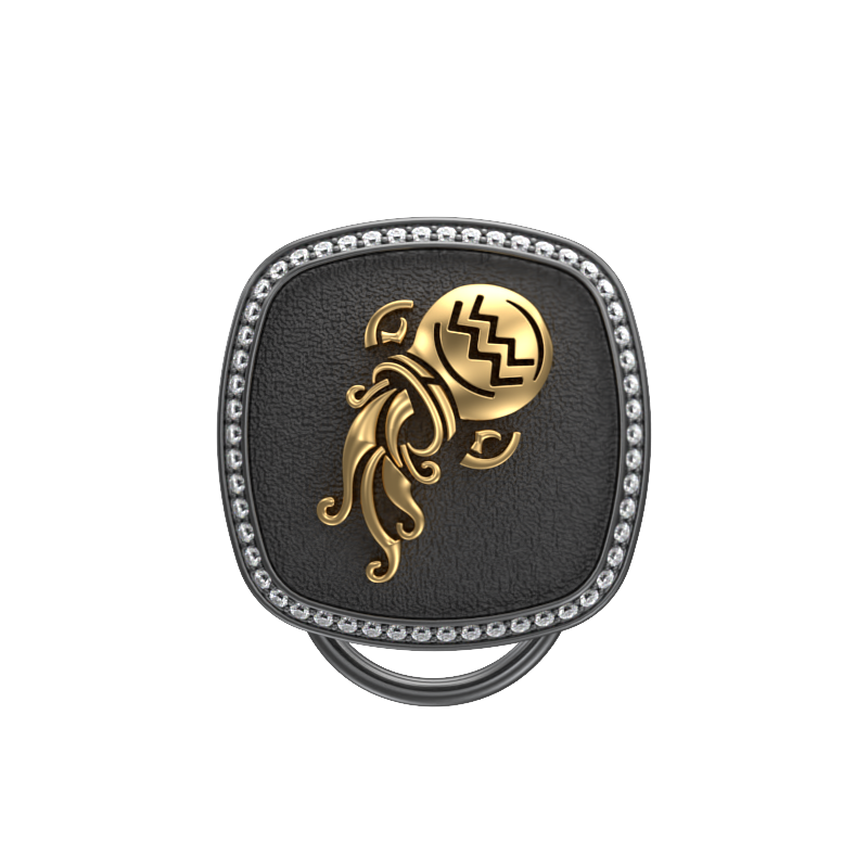 Aquarius Zodiac Luxe, Constellation Button set with CZ Diamonds, 18kt Gold & Black Ruthenium plating  on Brass.