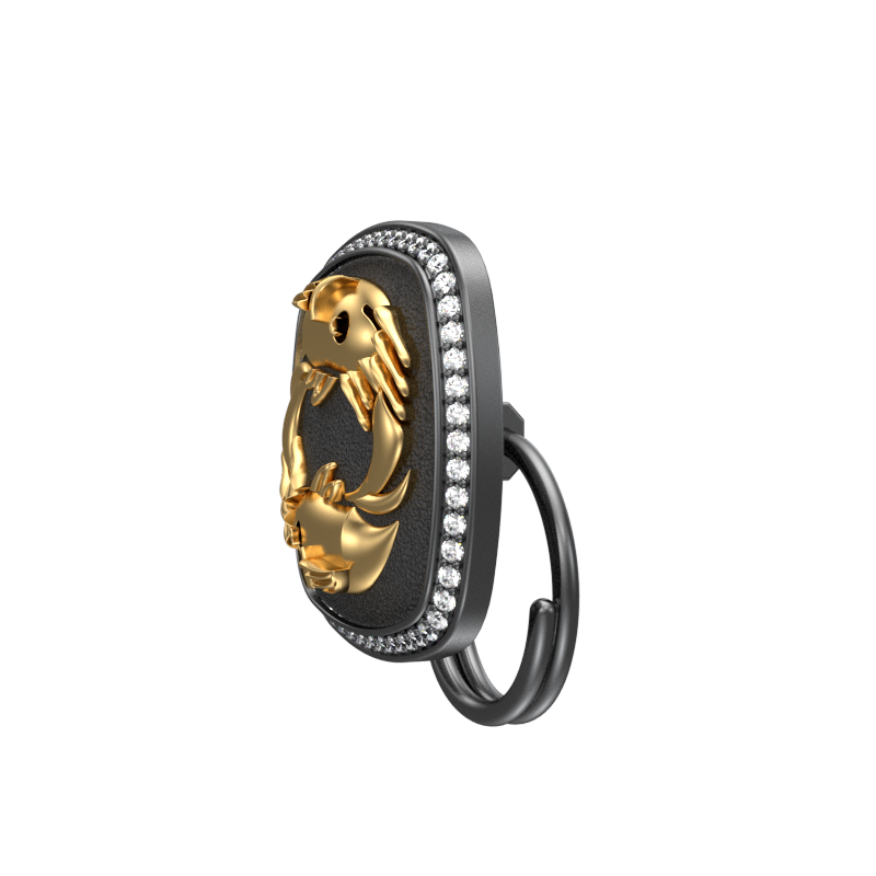 Pisces Zodiac Luxe, Constellation Button set with CZ Diamonds, 18kt Gold & Black Ruthenium plating on Brass.