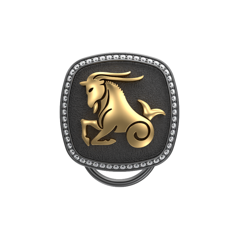 Capricorn Zodiac Button set with CZ Diamonds, 18kt Gold & Black Ruthenium plating on Brass.