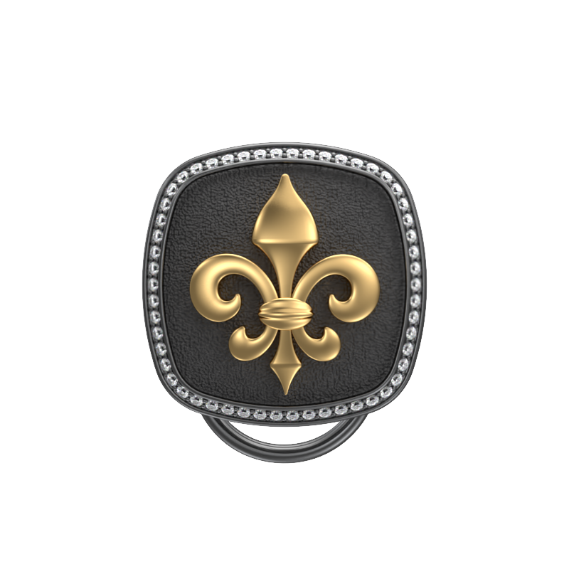 Fleur di lis  Luxe, Spiritual Button set with CZ Diamonds, 18kt Gold & Black Ruthenium Plating on Brass.