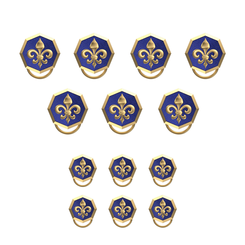 Fleur di lis , Spiritual Button set with 18kt Gold & Black Ruthenium Plating on Brass.